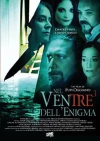 Nel ventre dell'enigma cover