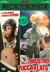 The Beast Of Yucca Flats cover