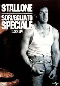 Lock up cover