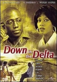 Down in the Delta cover