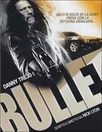 Bullet cover