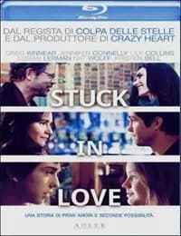 Stuck in Love cover