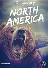 North America cover