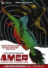 Amer cover