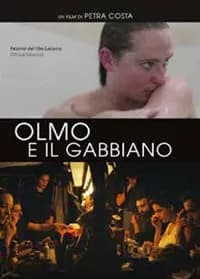 Olmo and the Seagull cover