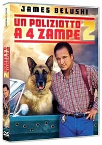K-911 cover