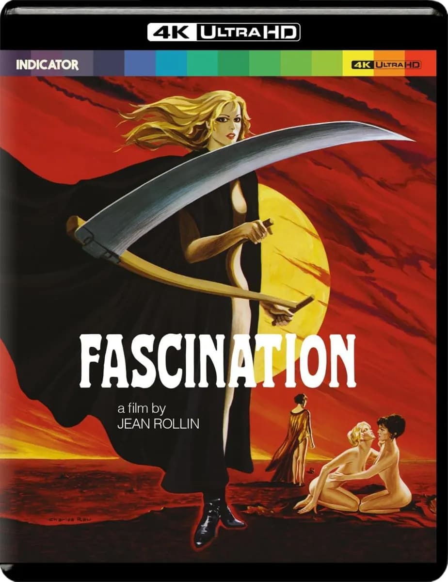Fascination cover