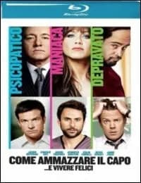 Horrible Bosses cover