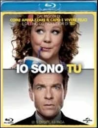 Identity Thief cover