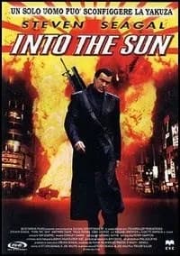 Into the Sun cover