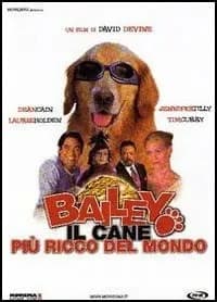 Bailey's Billion$ cover