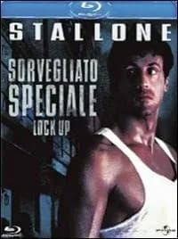 Lock up cover