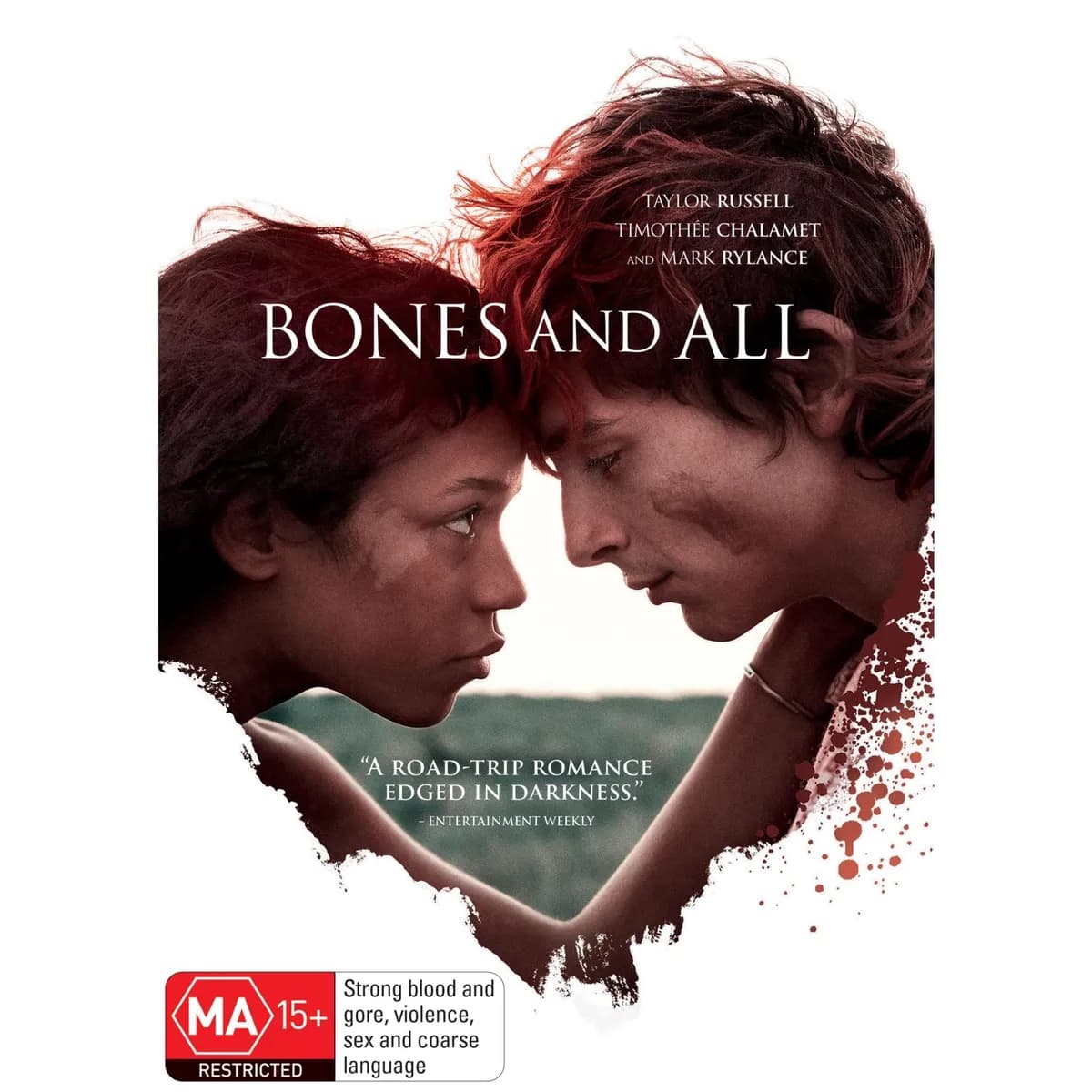 Bones And All cover