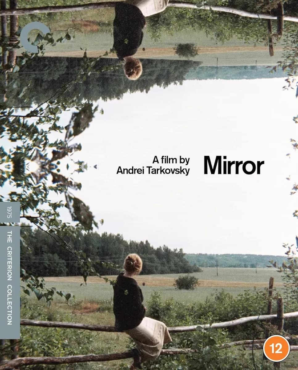 Mirror cover