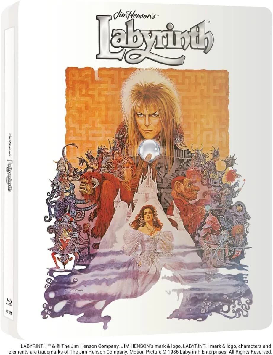 Labyrinth cover