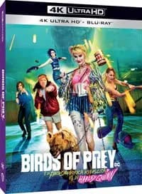 Birds of Prey and the Fantabulous Emancipation of One Harley Quinn cover