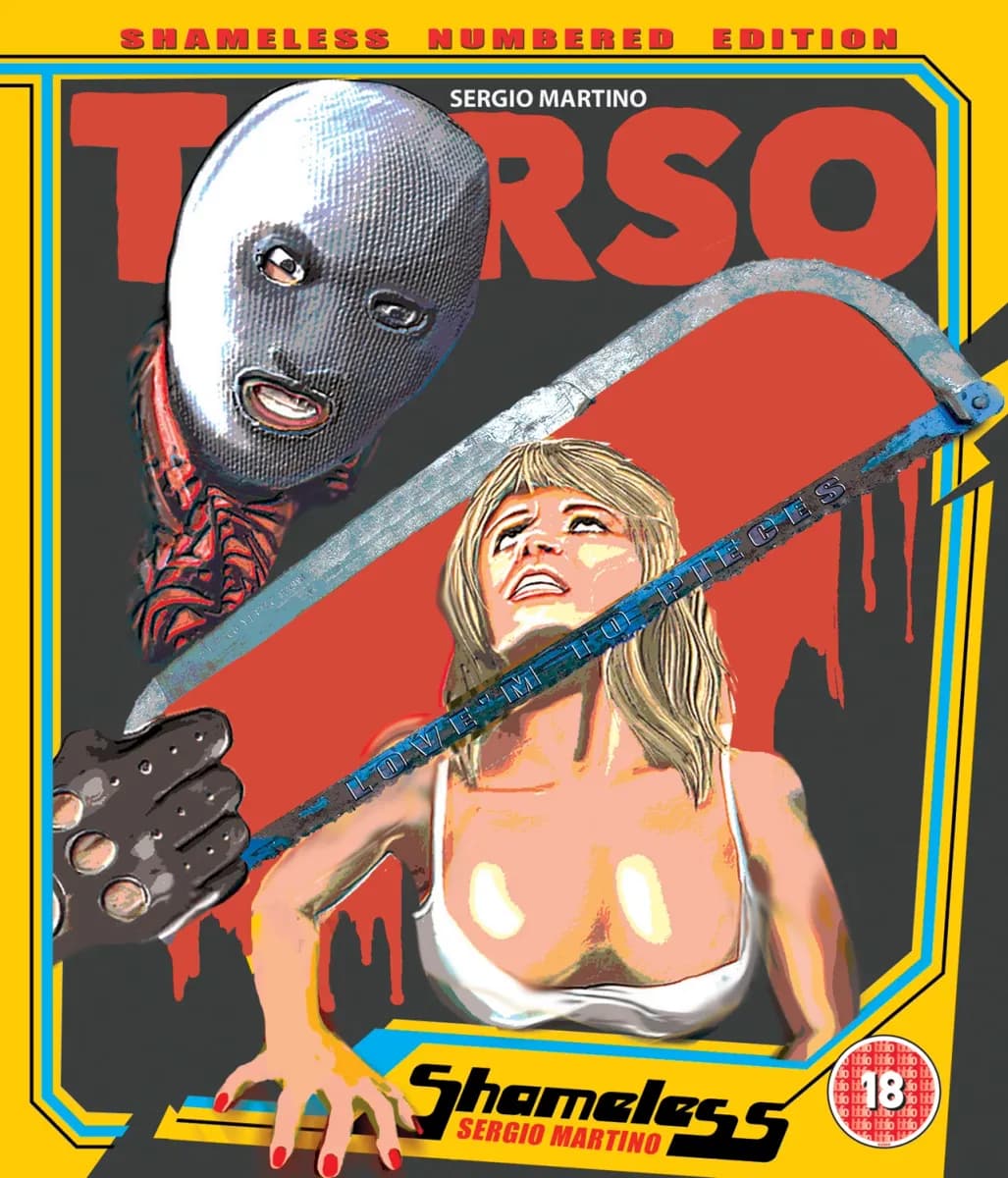 Torso cover