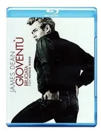 Rebel Without a Cause cover