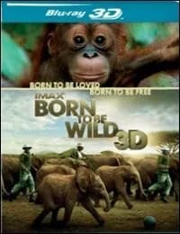 Born to Be Wild cover