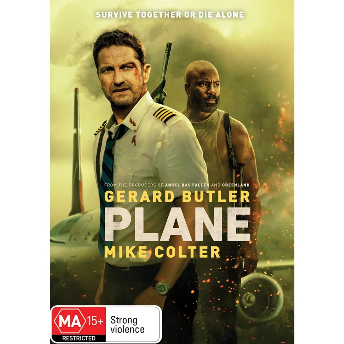 Plane cover