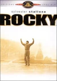 Rocky cover