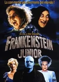 Young Frankenstein cover