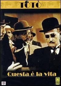 Questa è la vita cover