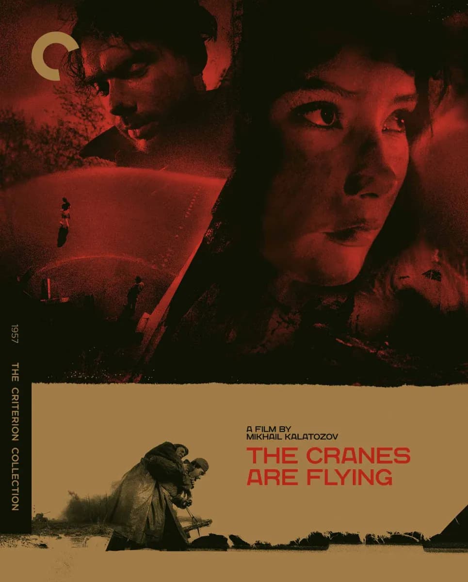 The Cranes Are Flying cover