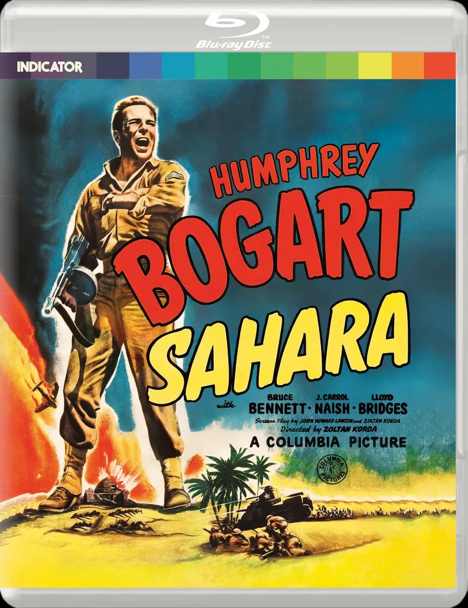 Sahara cover