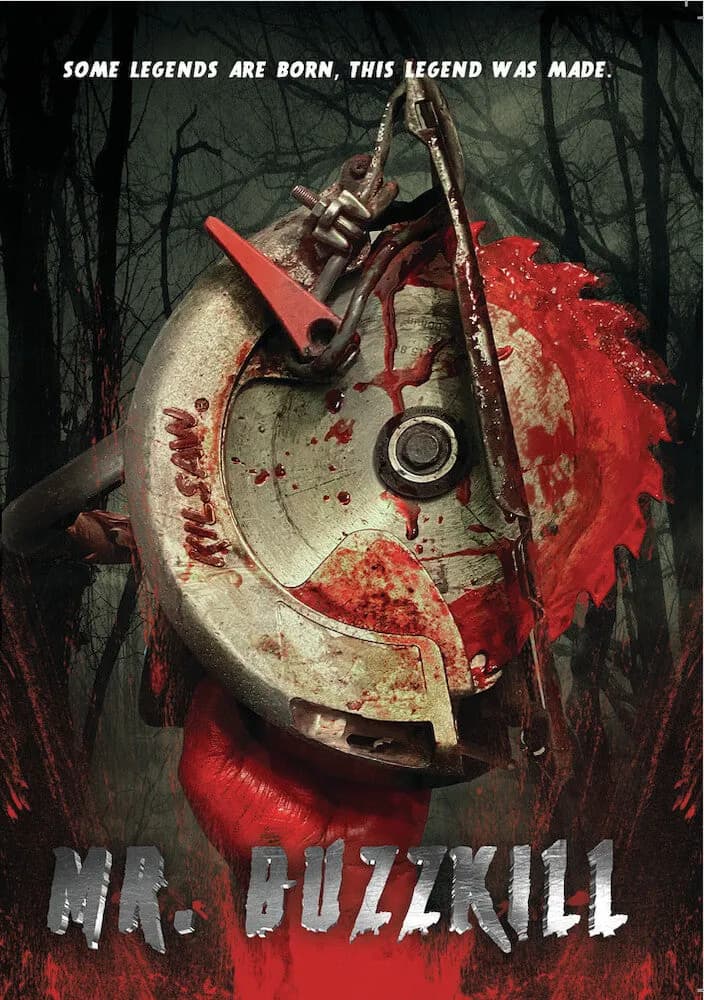Mr. Buzzkill cover