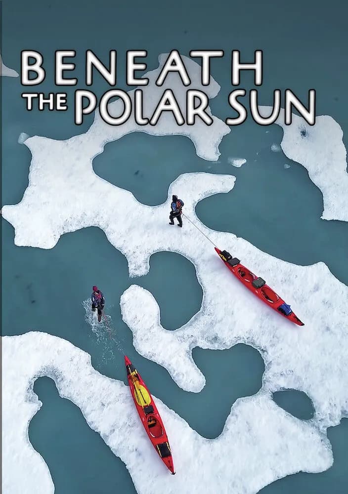 Beneath the Polar Sun cover