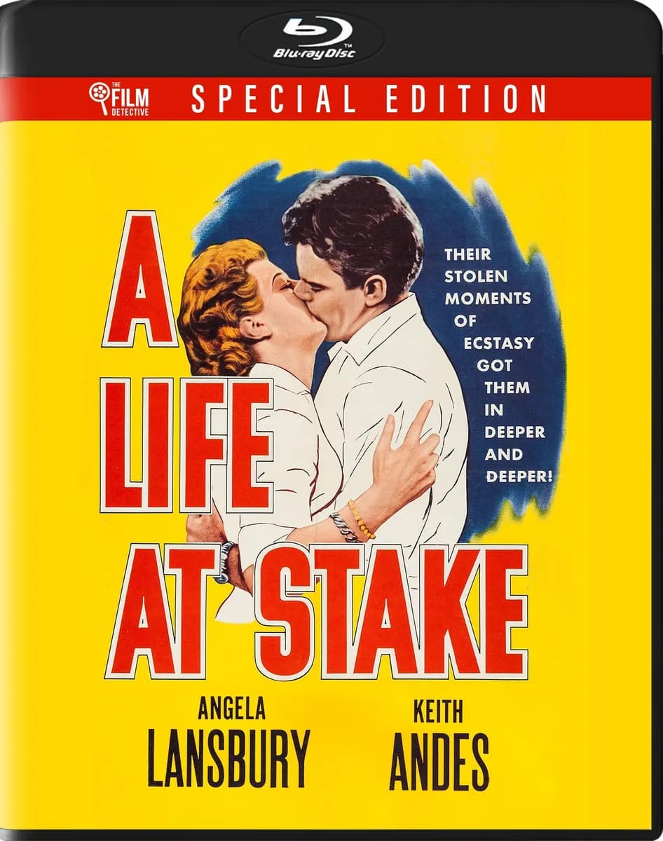 A Life At Stake cover