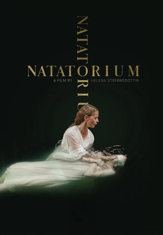 Natatorium cover