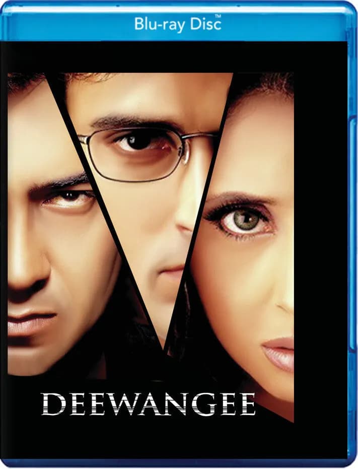 Deewangee cover