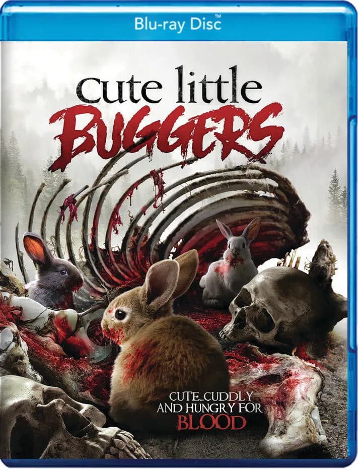 Cute Little Buggers cover
