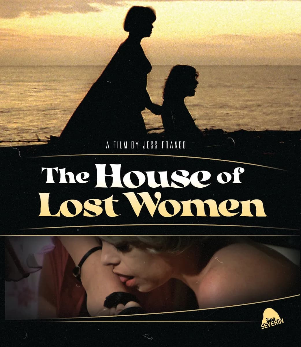 The House Of Lost Women cover