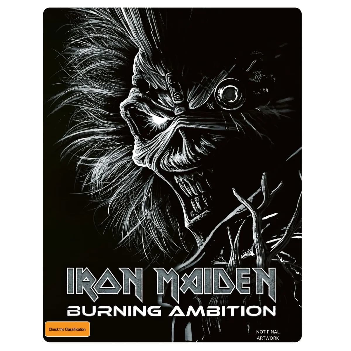 Iron Maiden: Burning Ambition cover