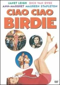 Bye Bye Birdie cover