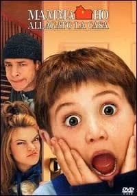 Home Alone 4 cover