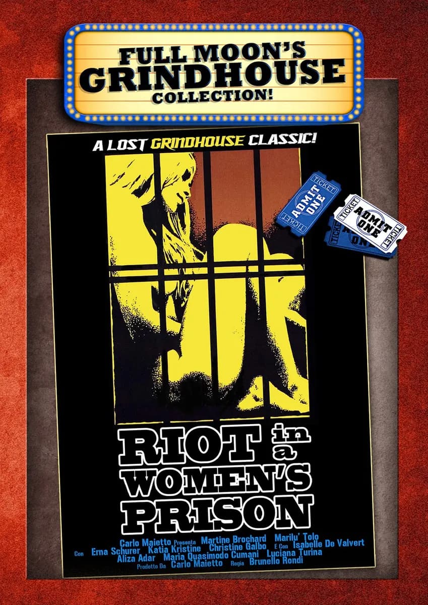 Riot in a Woman's Prison cover