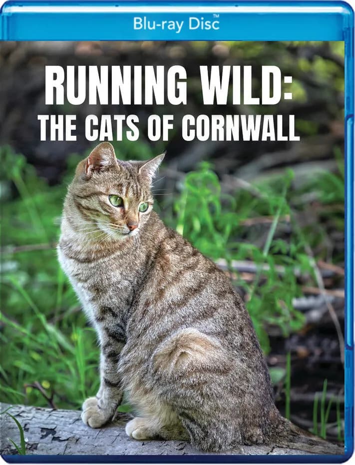 Running Wild: The Cats of Cornwall cover