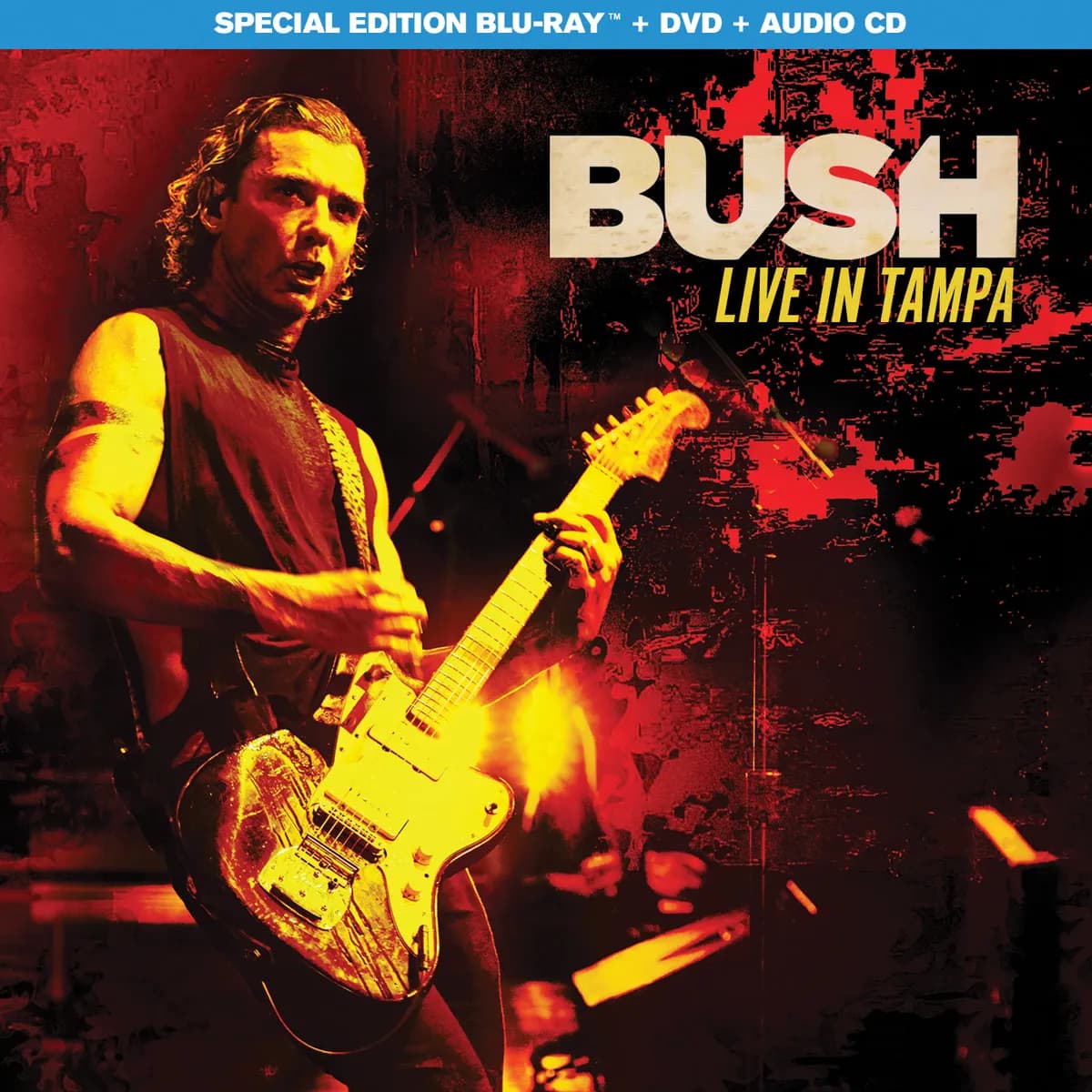 Bush - Live in Tampa cover