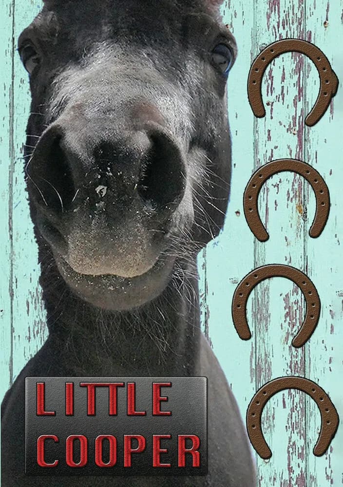 Little Cooper cover