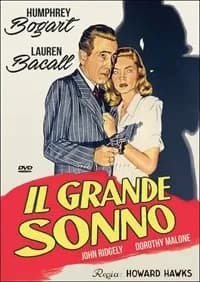 The Big Sleep cover