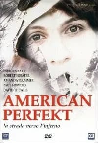American Perfekt cover