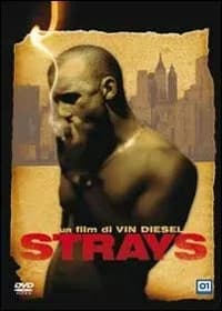Strays cover