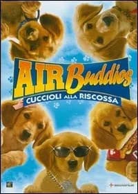 Air Buddies cover