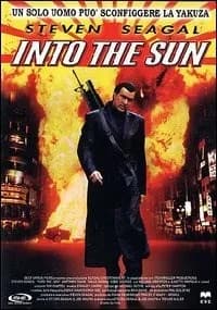 Into the Sun cover