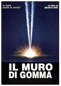 Il muro di gomma cover