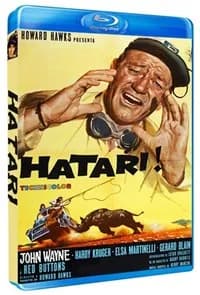 Hatari cover